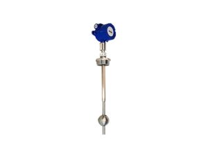 APG MPX-F Level Transmitter
