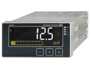 E+H RIA45 Process Meter